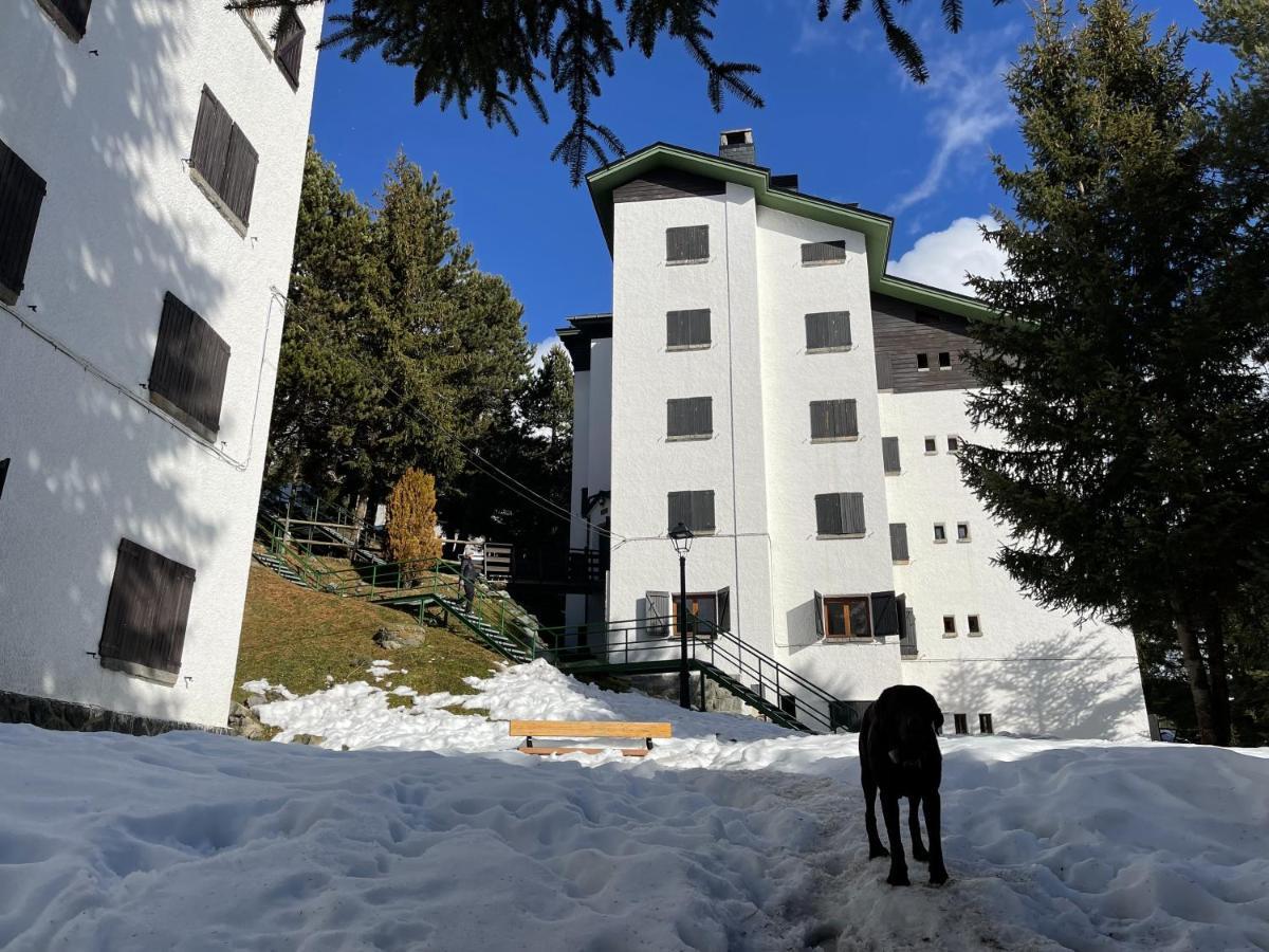 Izas · Pirineos360 · Práctico y sencillo · Perfecto para esquiadores Formigal Exterior foto